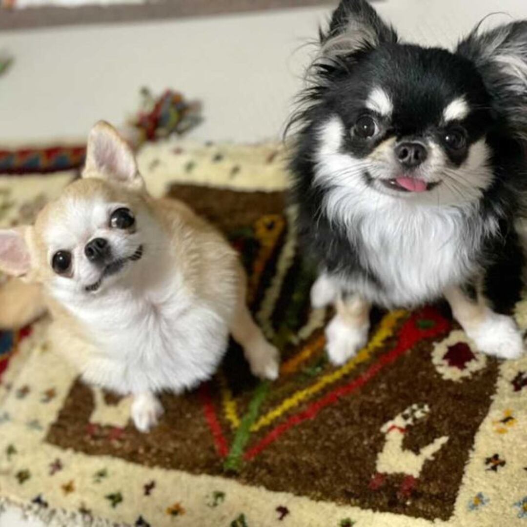 @poomama 様 ご自宅