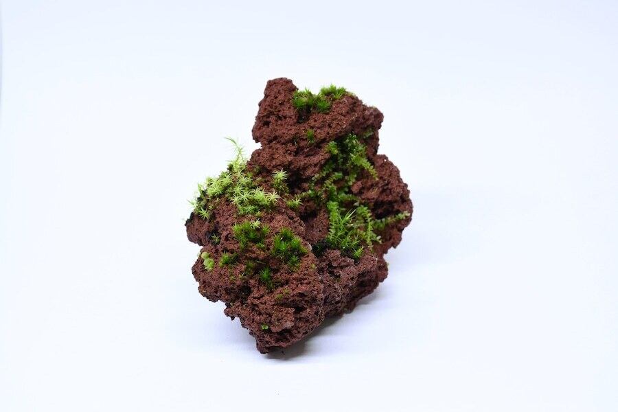 赤色溶岩石 SSサイズ（1〜2㎝）100g【レイアウト用】 | 苔テラリウム