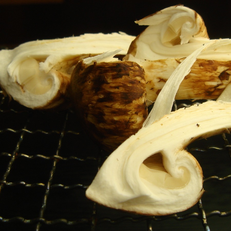 焼き松茸