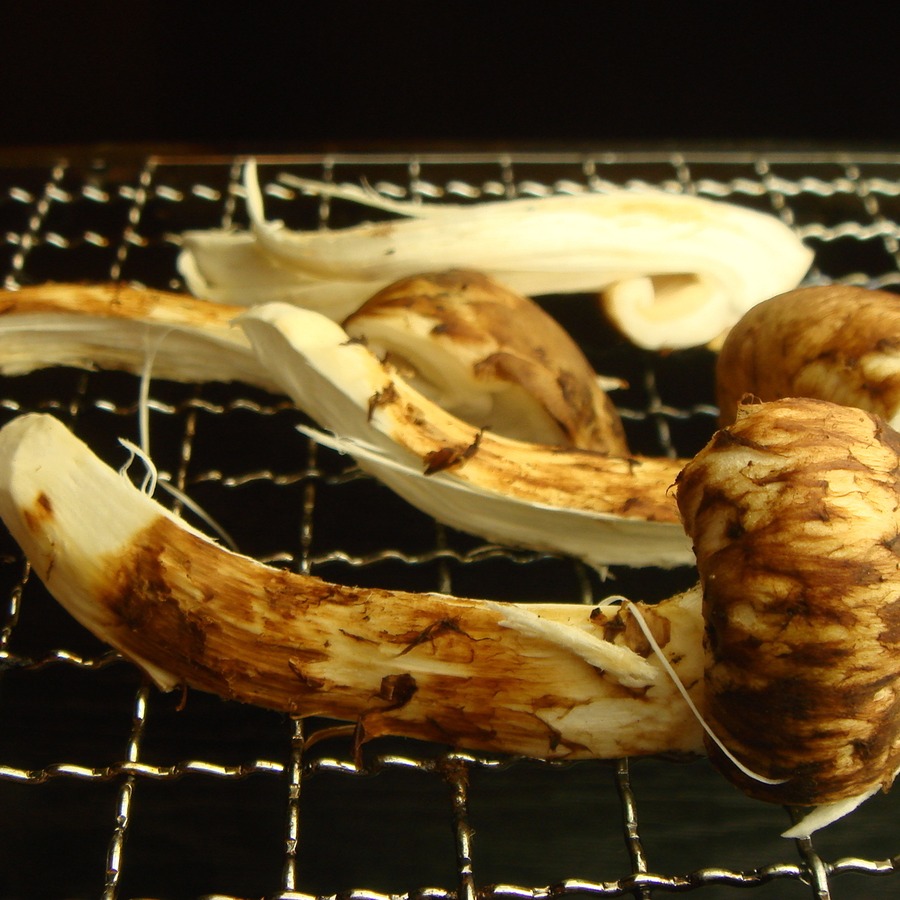 焼き松茸