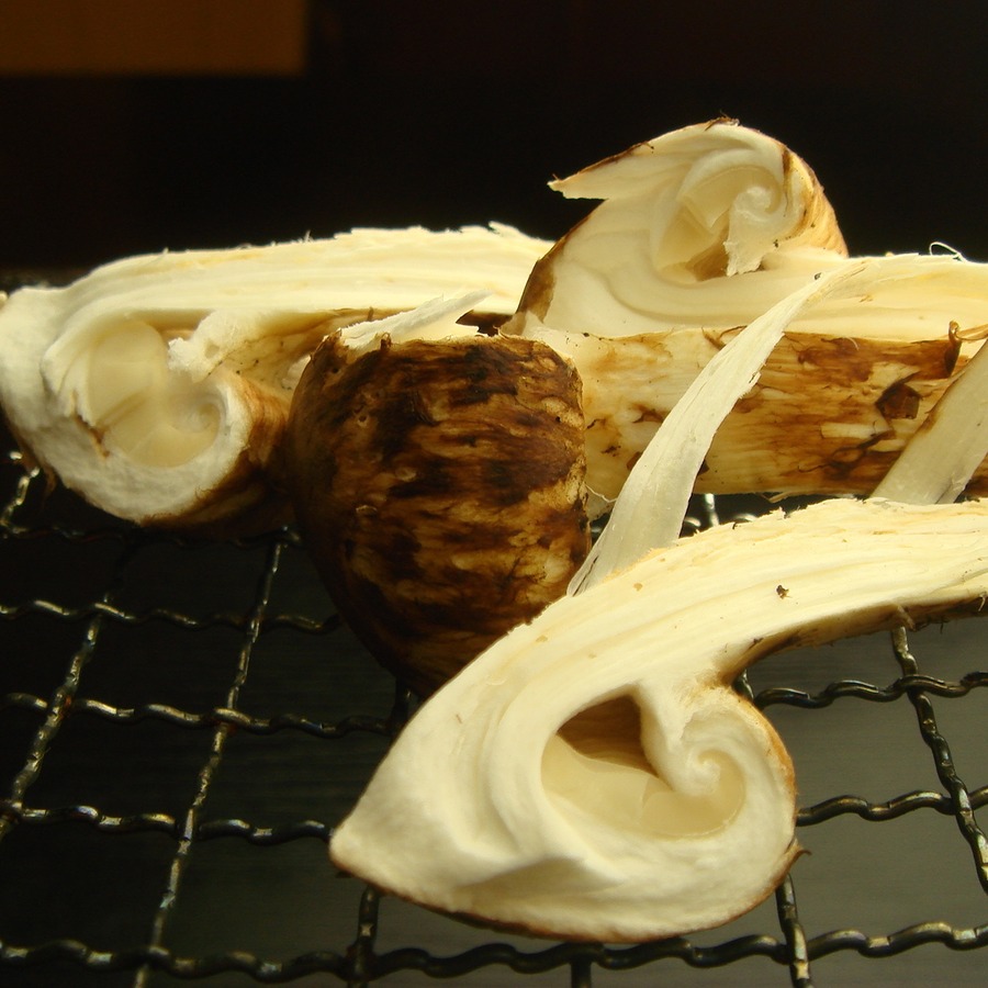 焼き松茸