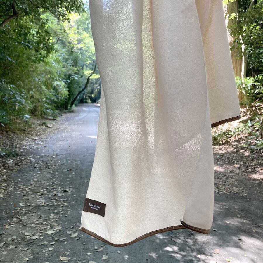 向こう側が透けるような薄さ