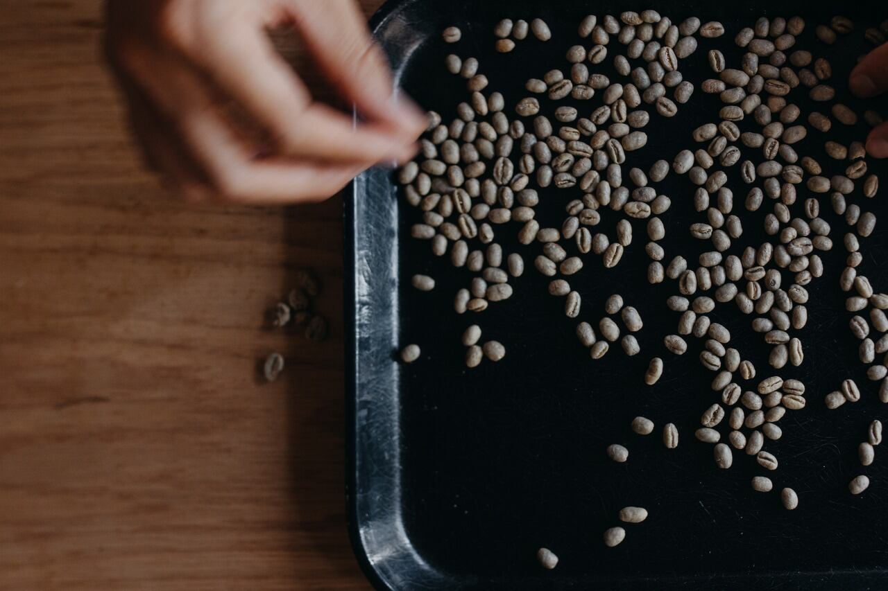 選り分け基準は「カビ・虫食い・欠け・未成熟」など