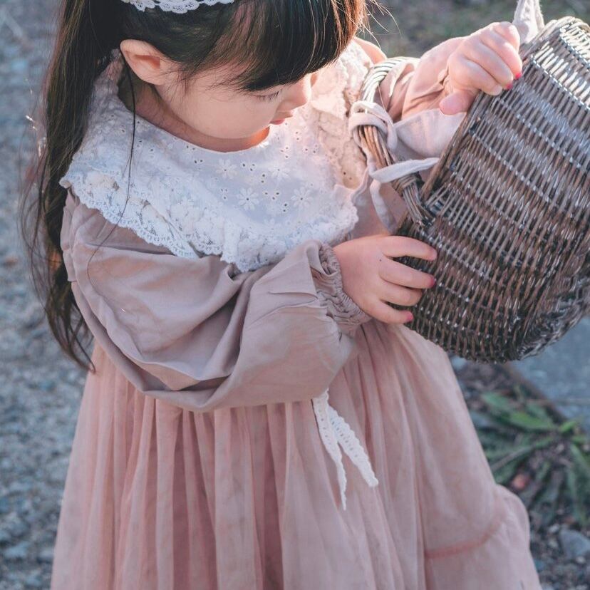 〈brown〉3y4m 85cm 10kg