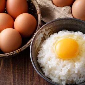 新鮮な卵はTKGで！