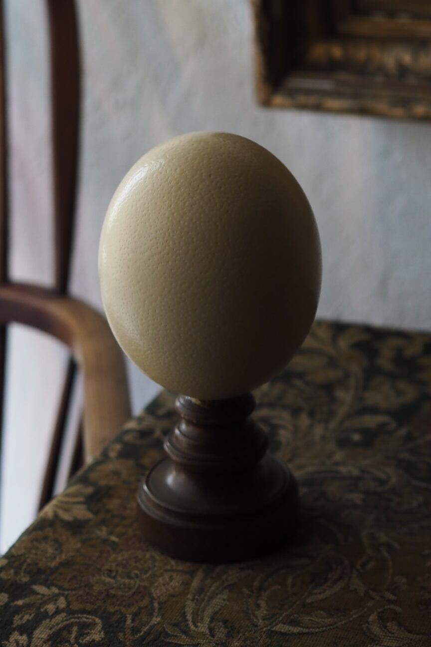 ダチョウの卵オブジェ-vintage ostrich egg | アンティーク