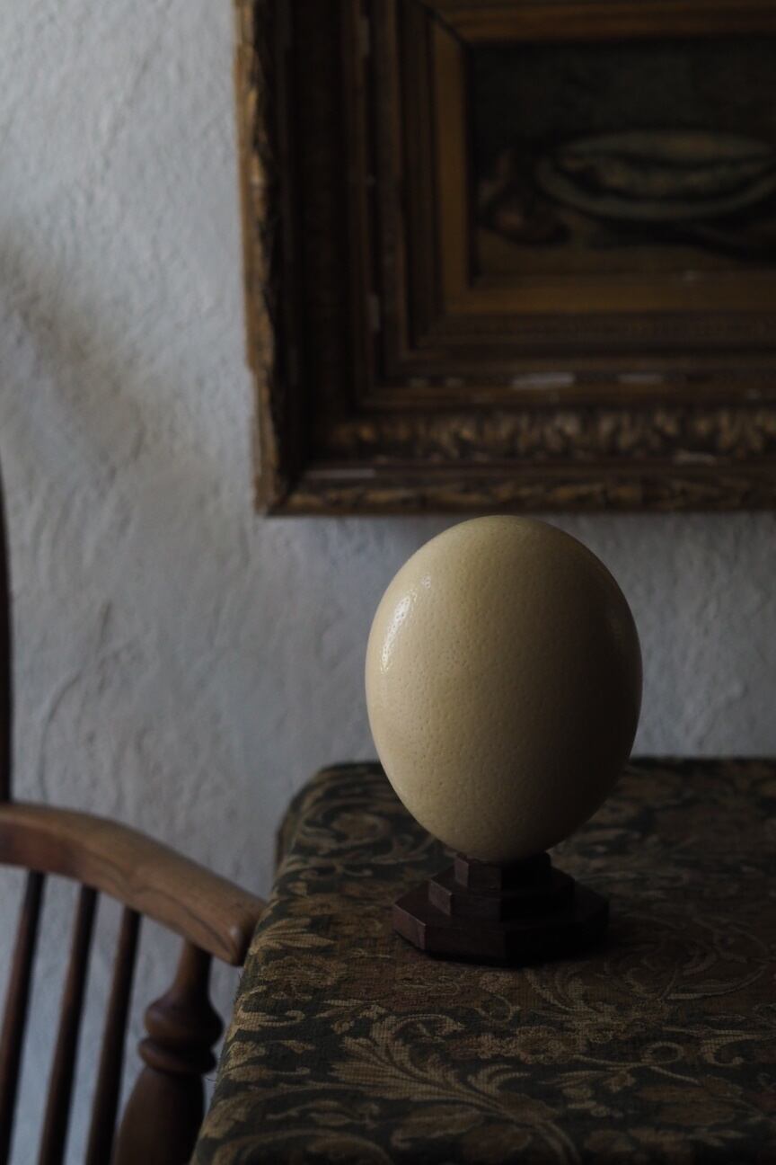 ダチョウの卵オブジェ-vintage ostrich egg | アンティーク