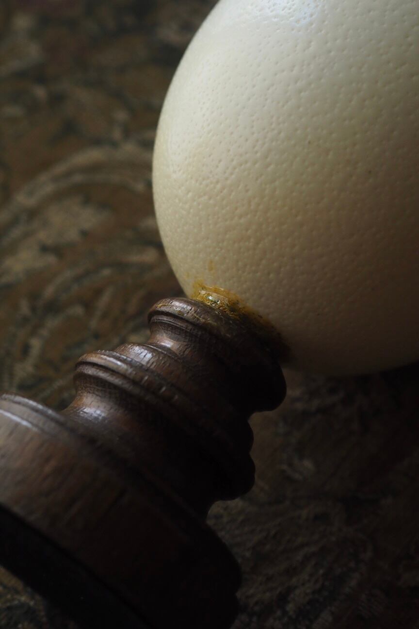 ダチョウの卵オブジェ-vintage ostrich egg | アンティーク