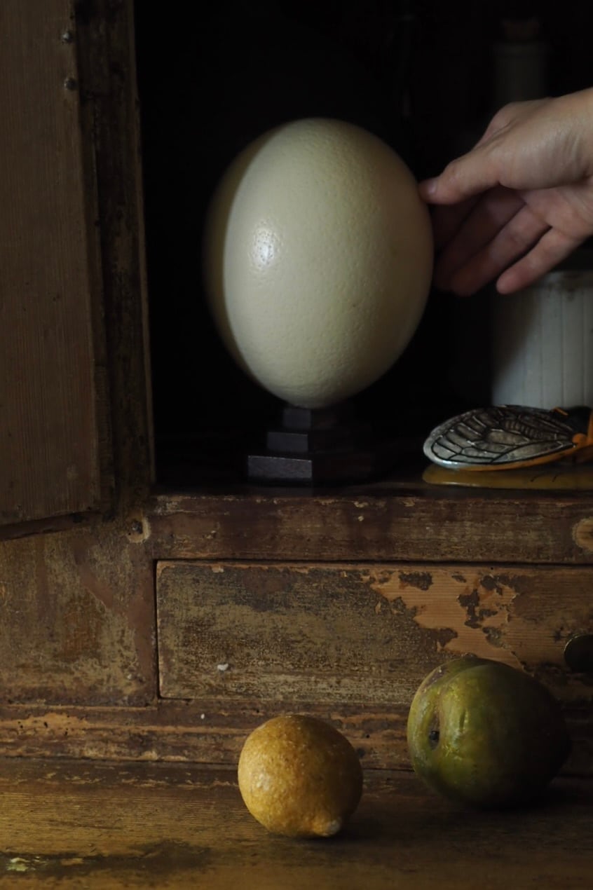 ダチョウの卵オブジェ-vintage ostrich egg | アンティーク
