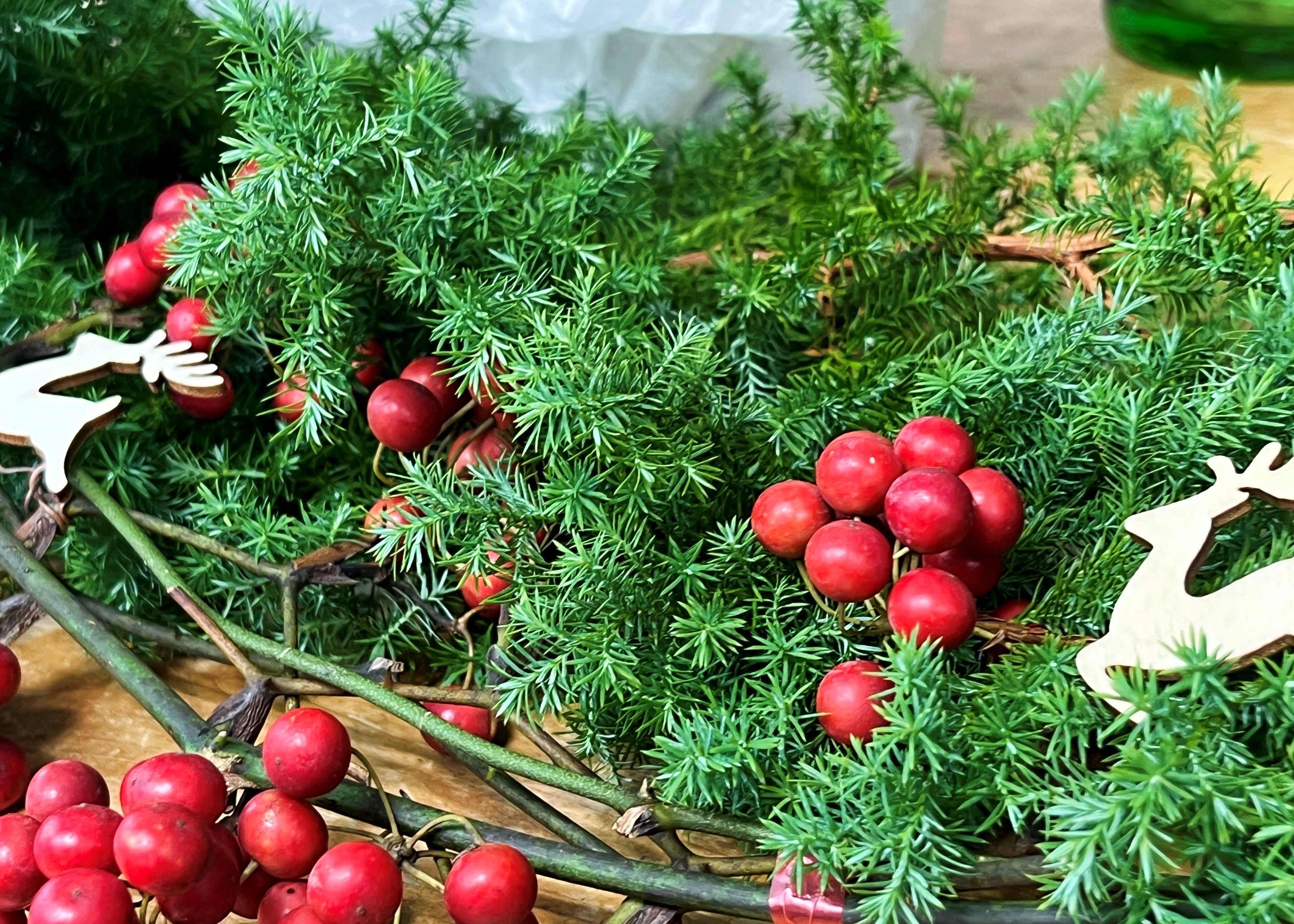 クリスマスの赤い実 サンキライ 1ケース（25本） | 新鮮お花問屋