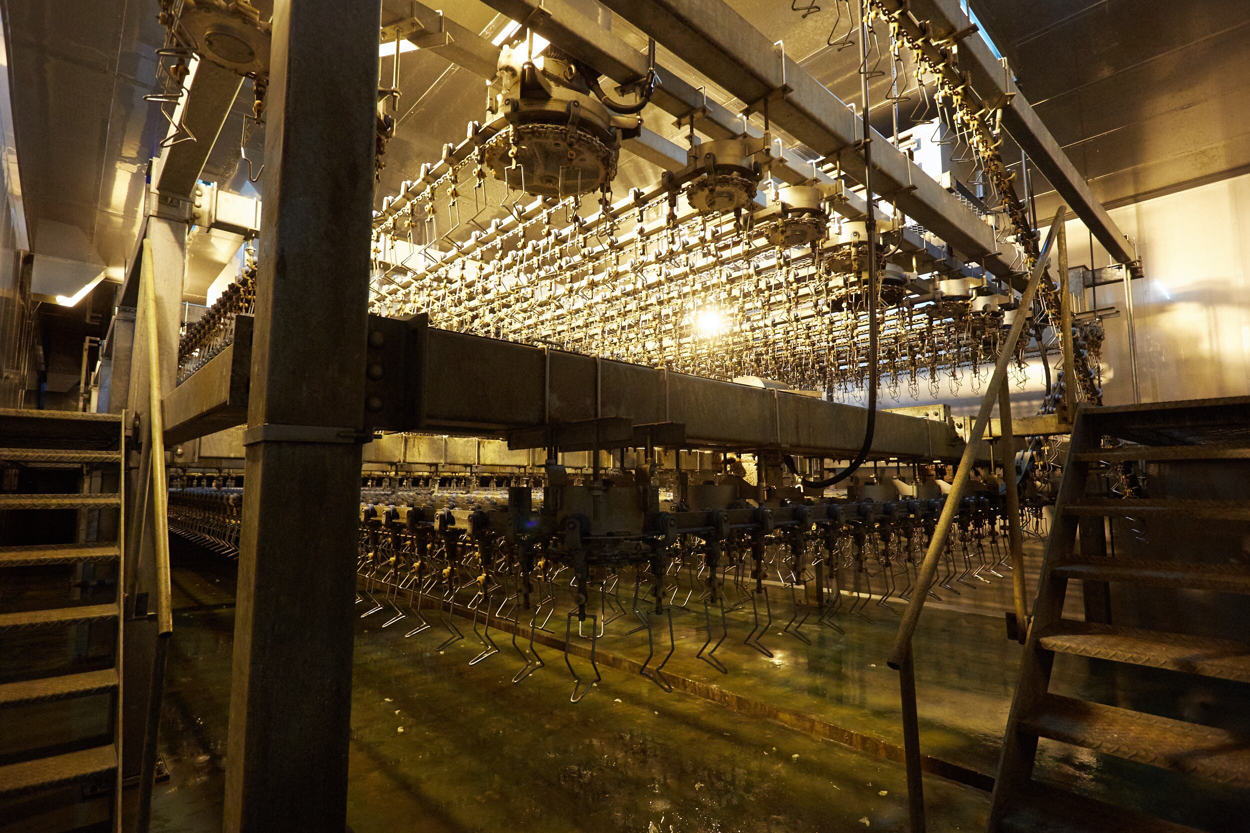 貞光食糧工業独自の熟成庫で中抜きのまま熟成。鶏本来の旨味の引き出しをしています。