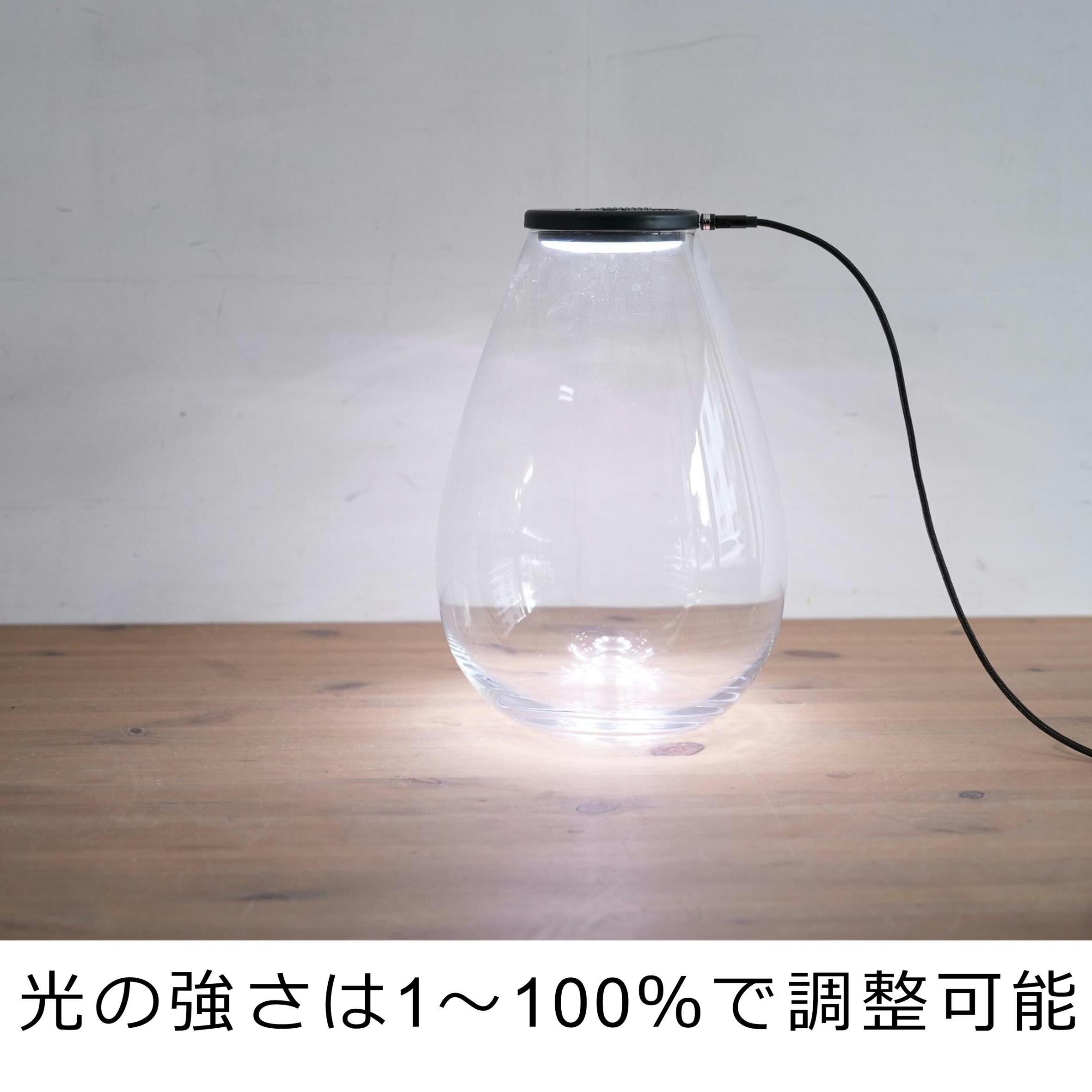 換気機能付き最新LED照明 Air&light ◇タイマー内蔵・USB給電 | 苔