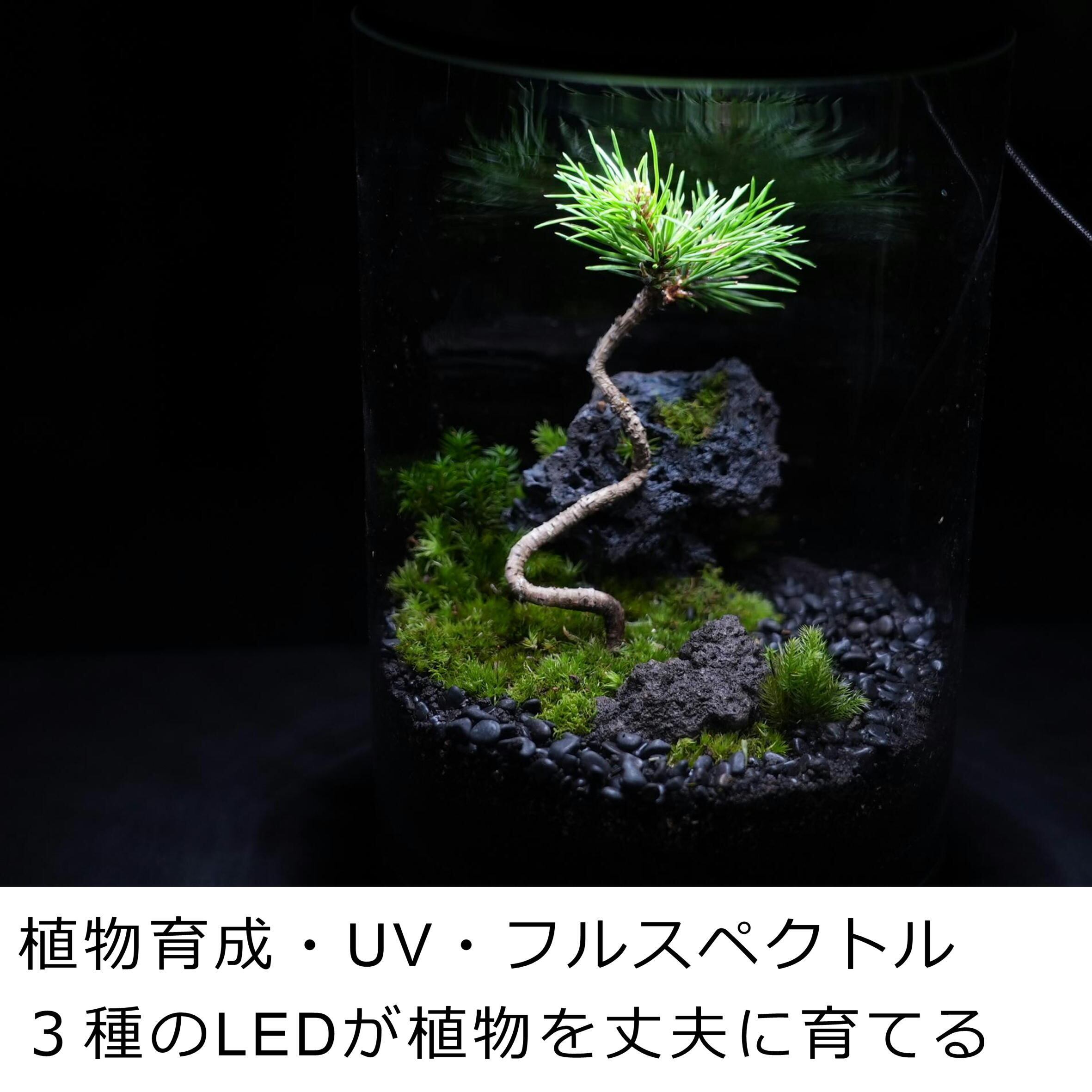 換気機能付き最新LED照明 Air&light ◇タイマー内蔵・USB給電 | 苔