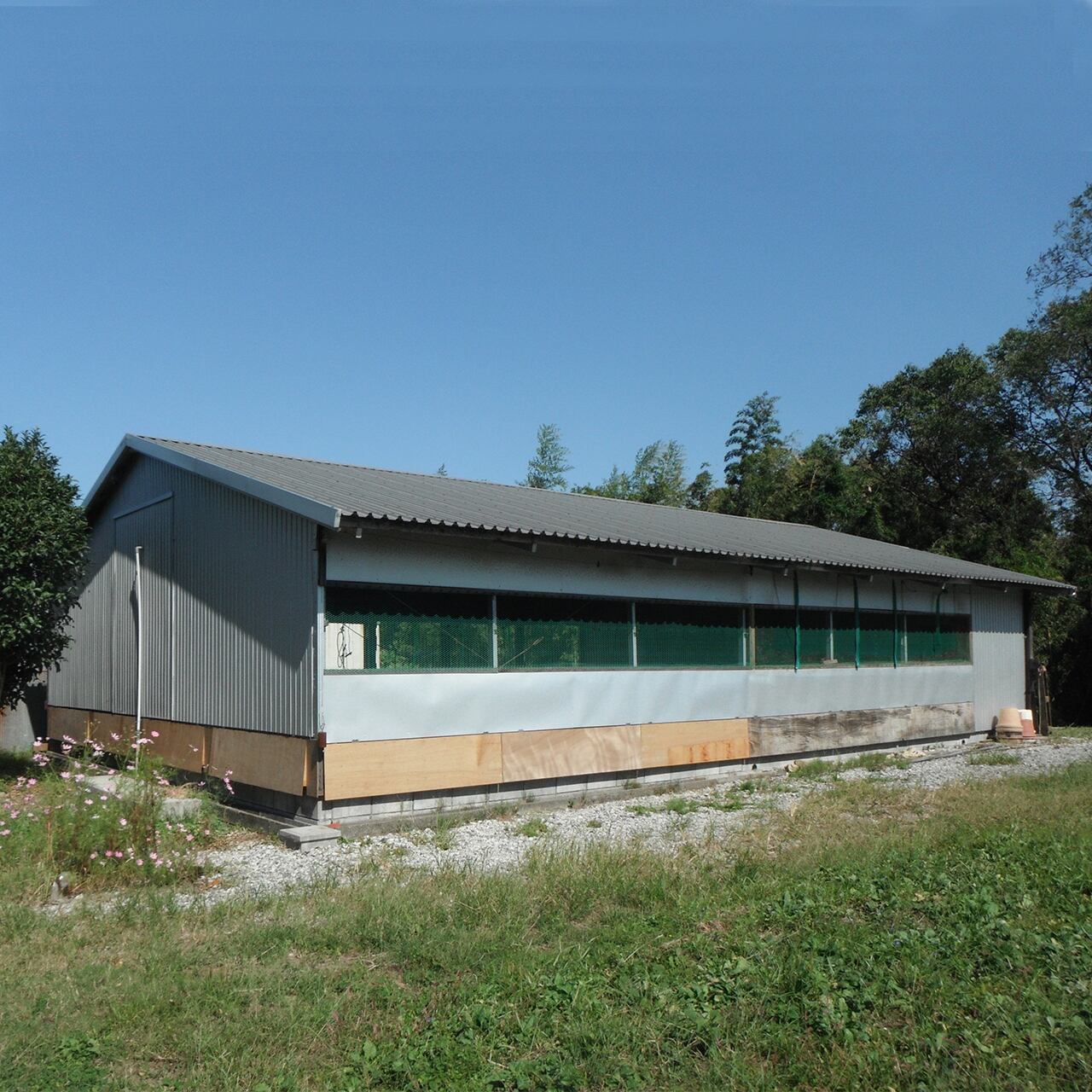 自然に囲まれたとり沢直営農場の鶏舎