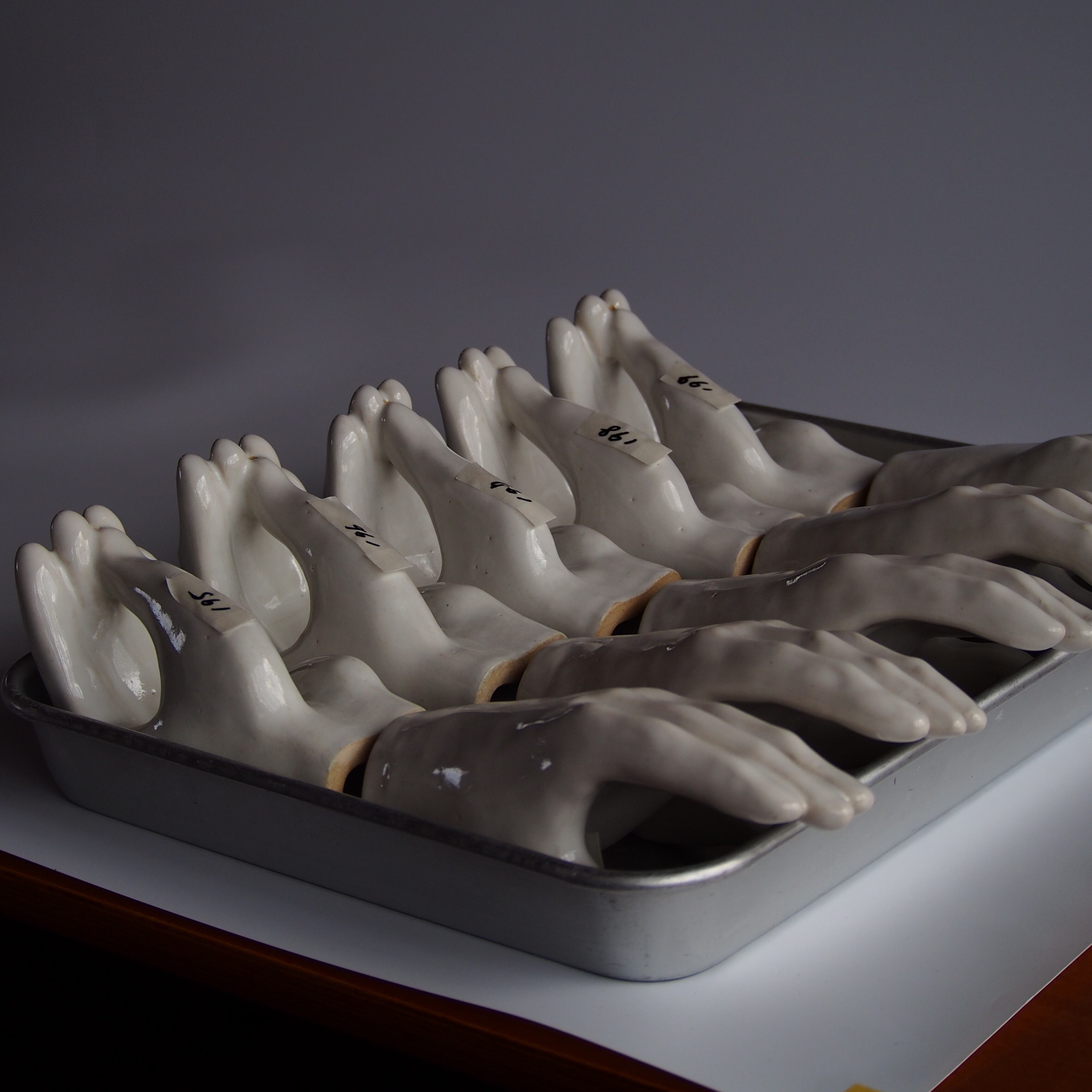 1点ずつ番号をふって、写真撮影です