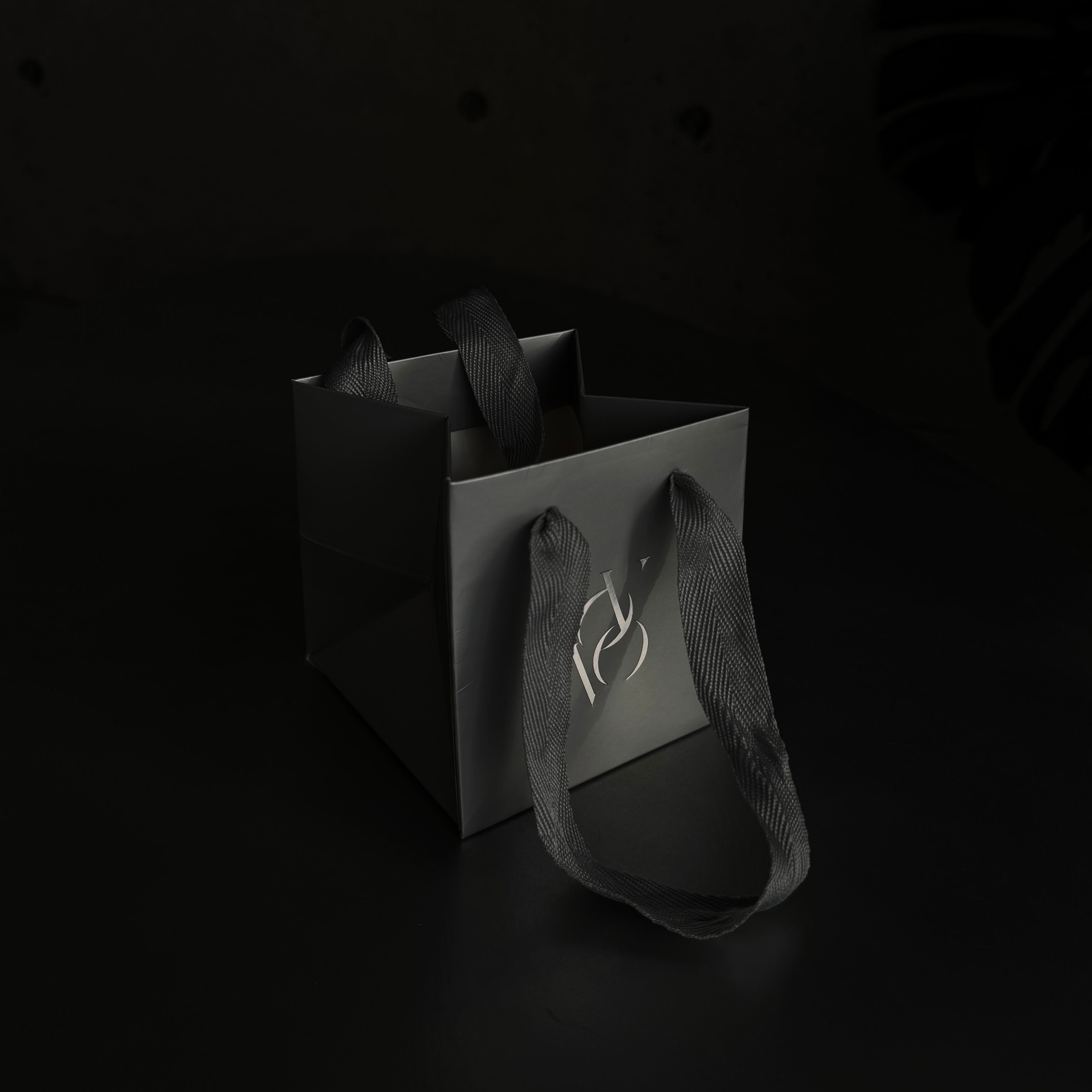 Silver Gift bag