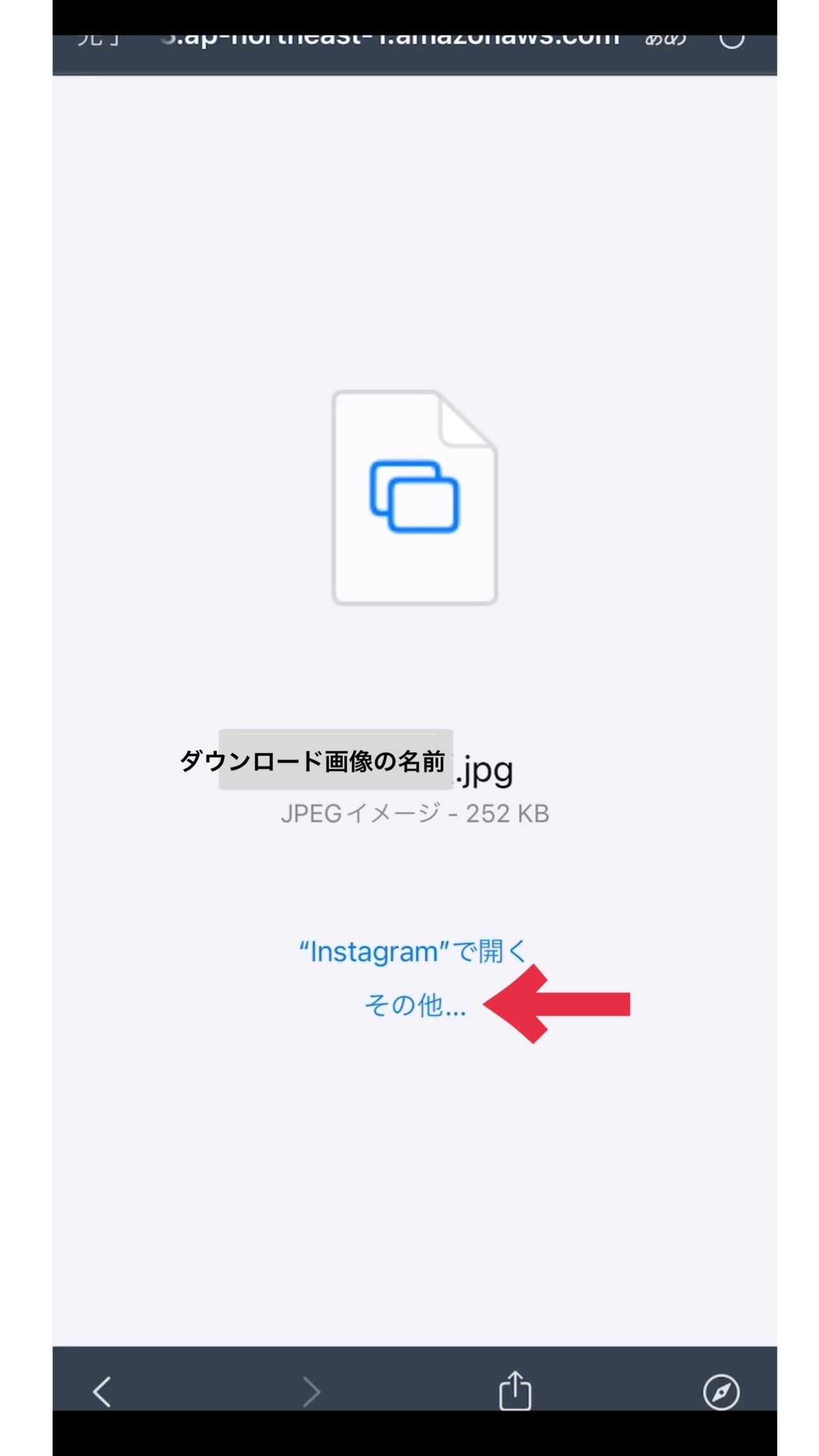 ⑤jpg画面が表示されたら、下部の「その他」を押す