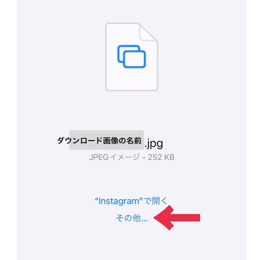 ⑤jpg画面が表示されたら、下部の「その他」を押す