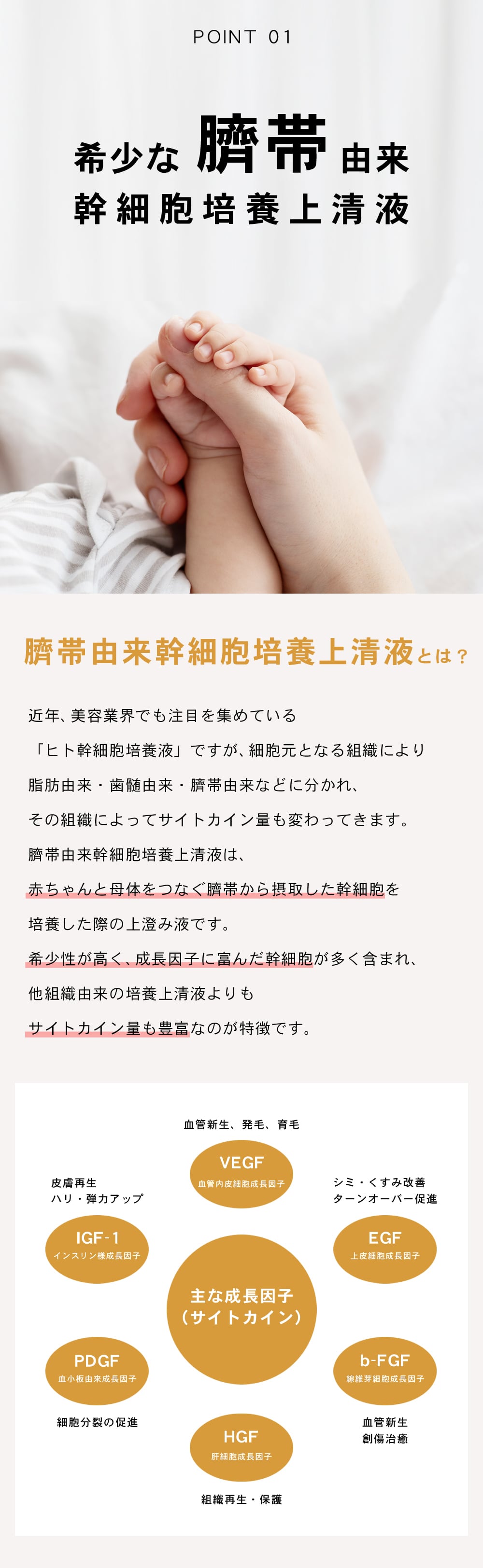 臍帯由来 / ヒト幹細胞培養液 100％ フリーズドライ【臍帯由来幹細胞
