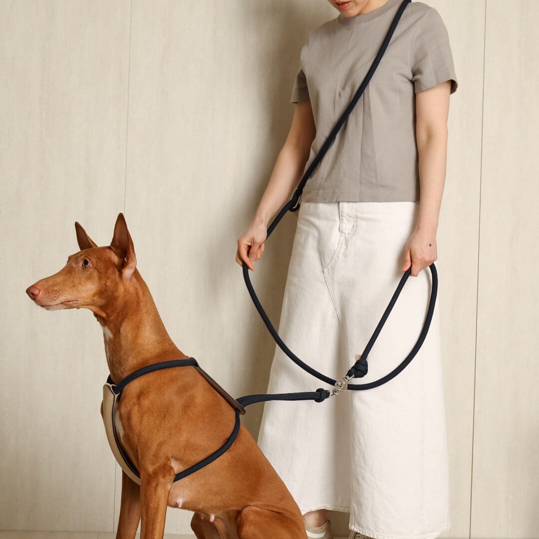 hozi ハンズフリーリード　BEIGE Lサイズ　新品未使用 Lサイズ」ハンズフリー リード【HOZI】 | HOZI(ホジ)