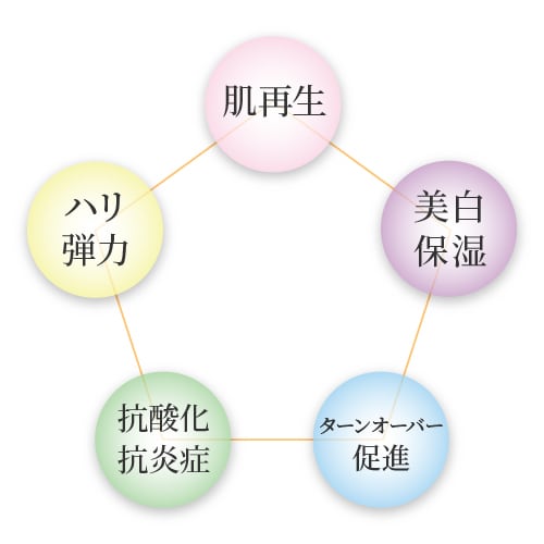 Kitelu 1st CELL 神経幹細胞培養液 | TIARE*BeautyCare