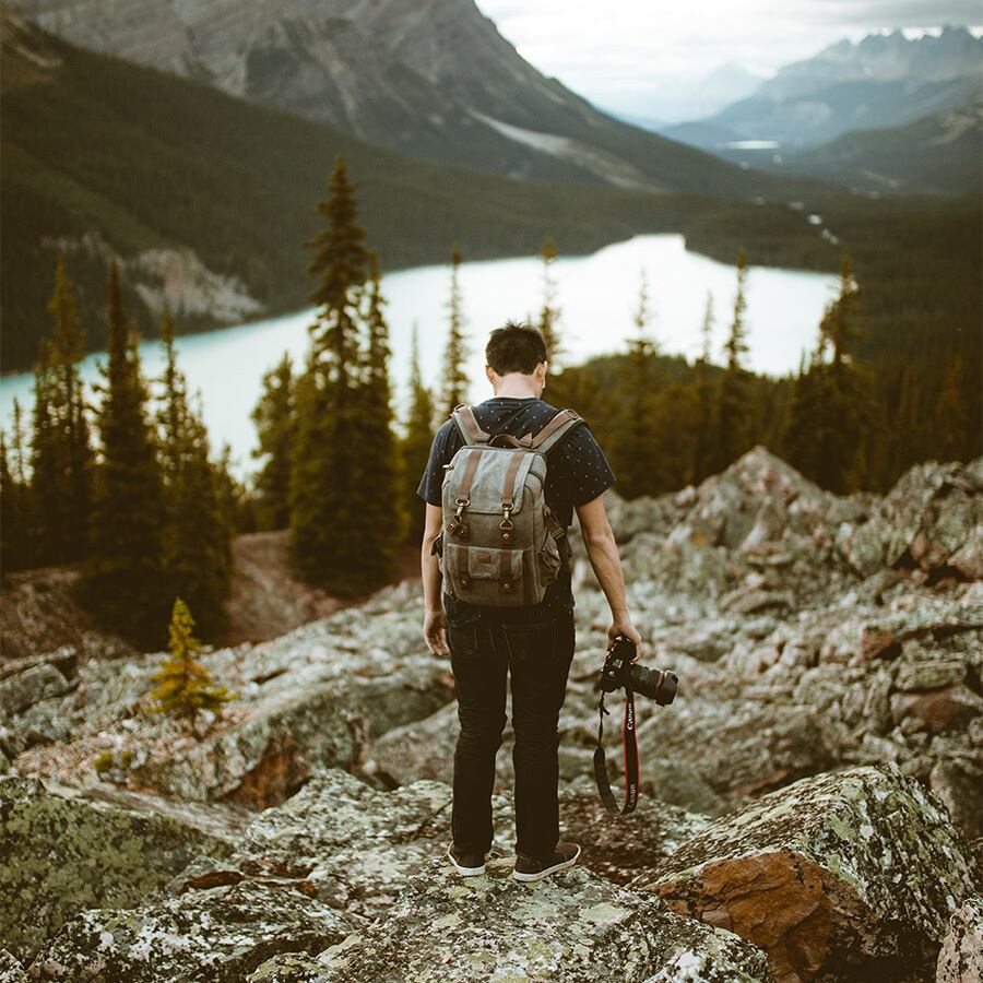 キャプションが入りますキャプションが入ります