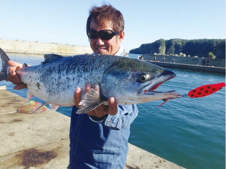 写真から・・・