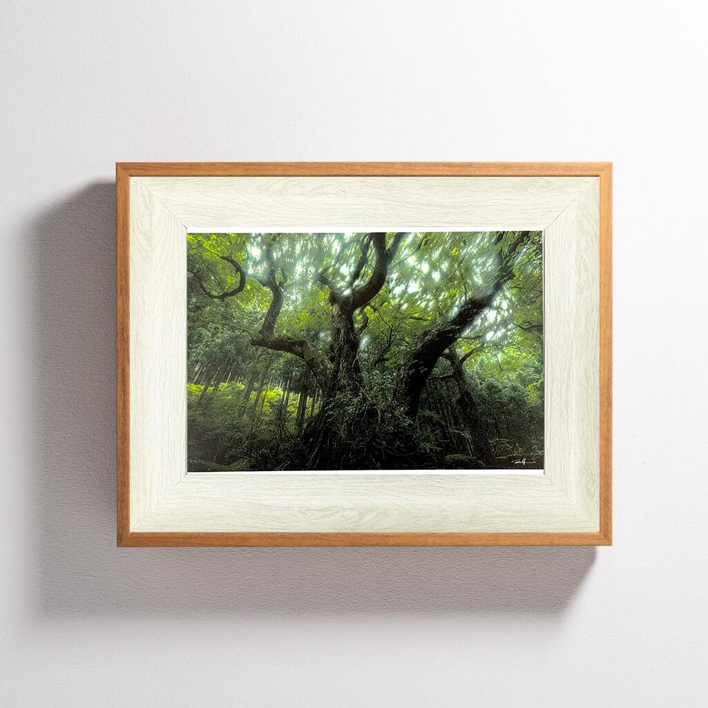 時を超えてシリーズ【回帰】/ フォトフレーム（ハガキサイズ）