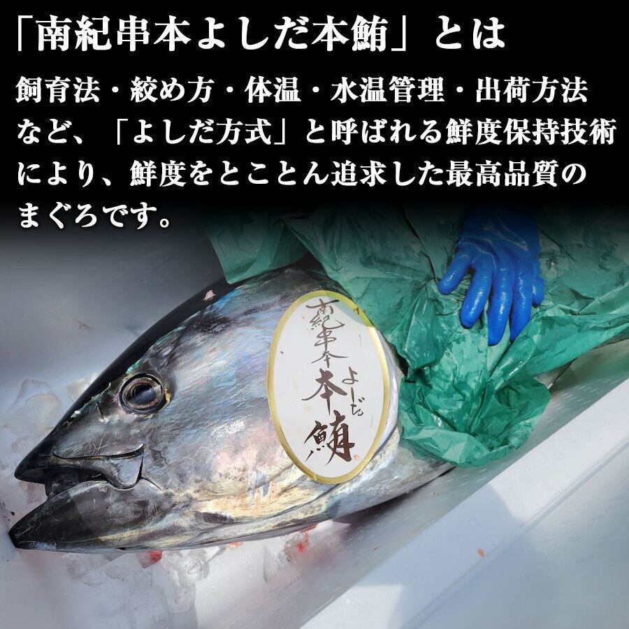 マグロ釣針36号60本土佐丹吉最終大特価 マグロ釣針36号60本土佐丹吉最終大特価