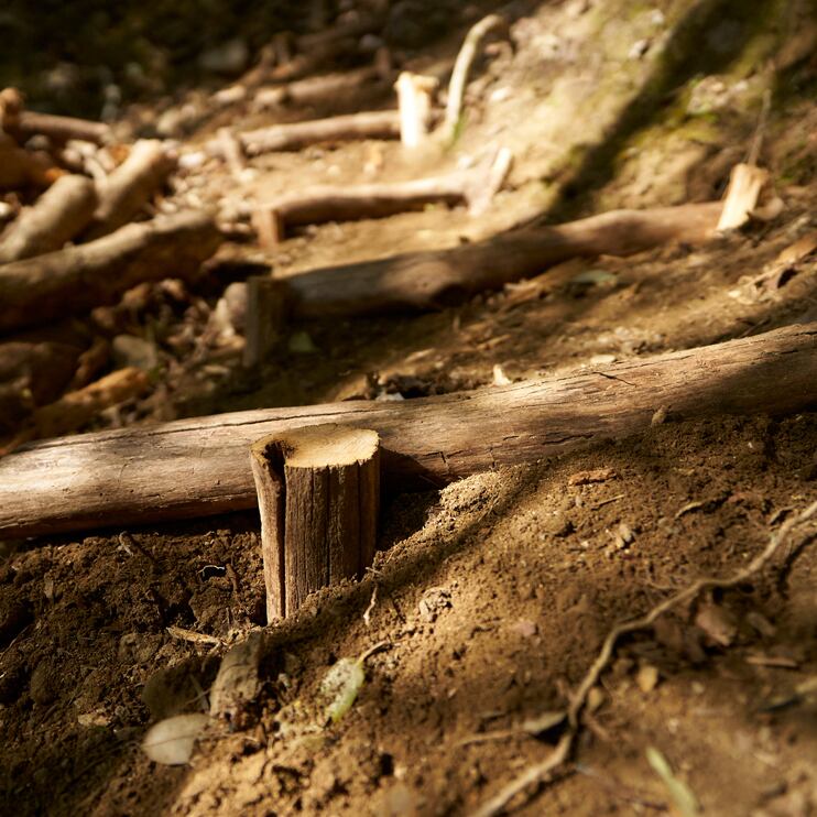 皆さんにお手伝いいただき、安心安全な登山道が蘇ります。