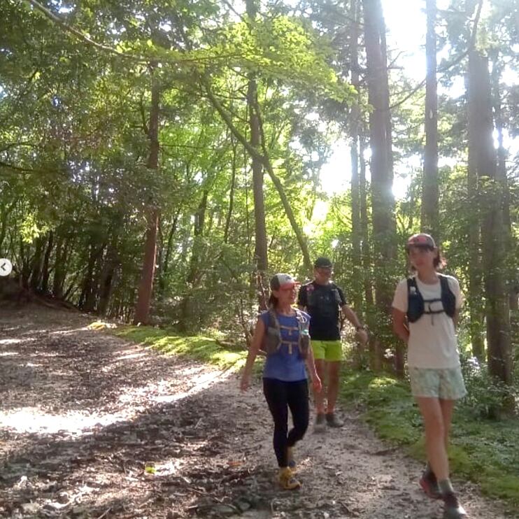 疲れたらちょっと歩いて、森林浴で体力回復。