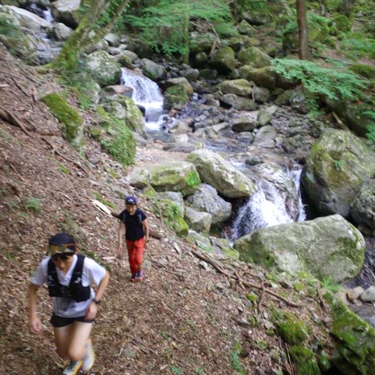 美しい龍神の森を走ります。