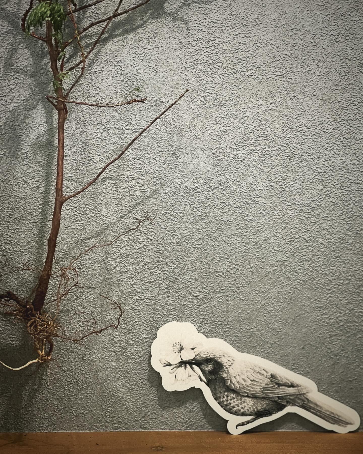 ”さくらとヒヨドリ”