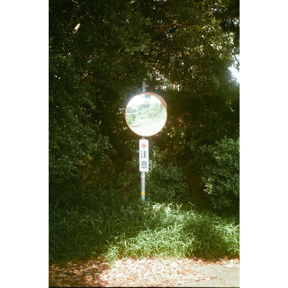 MINOLTA HI-MATIC AF2-MDで撮った写真たち