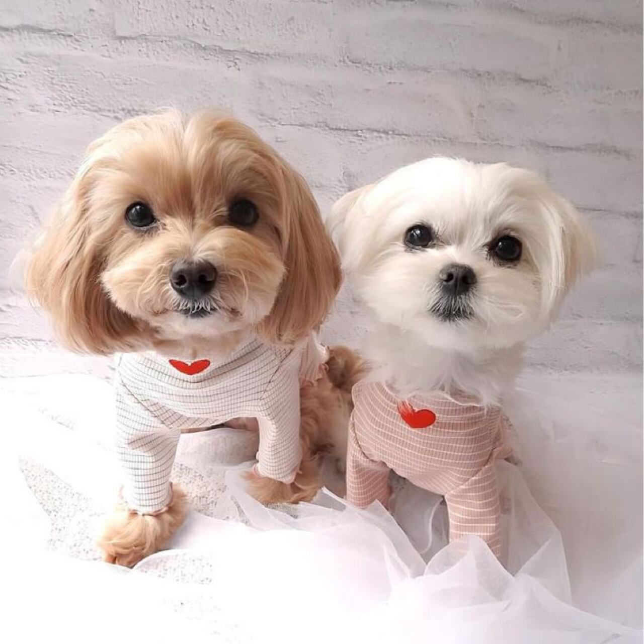 MERU / マルプー / Mサイズ着用