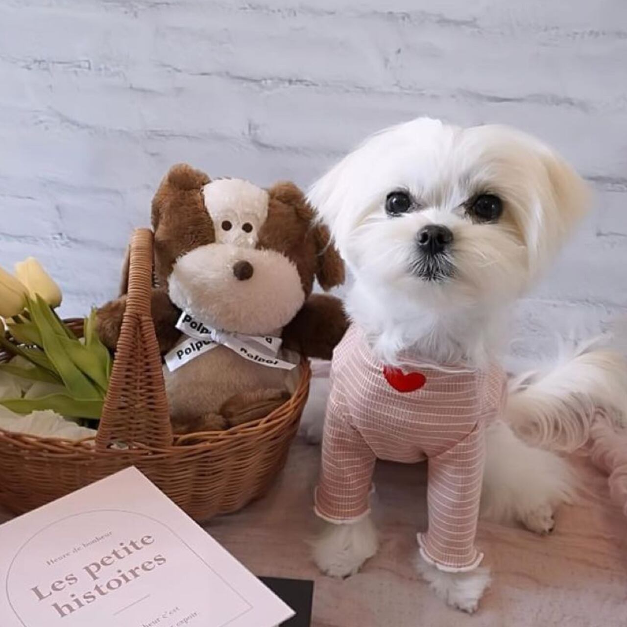 AMU / チワマル / Sサイズ着用