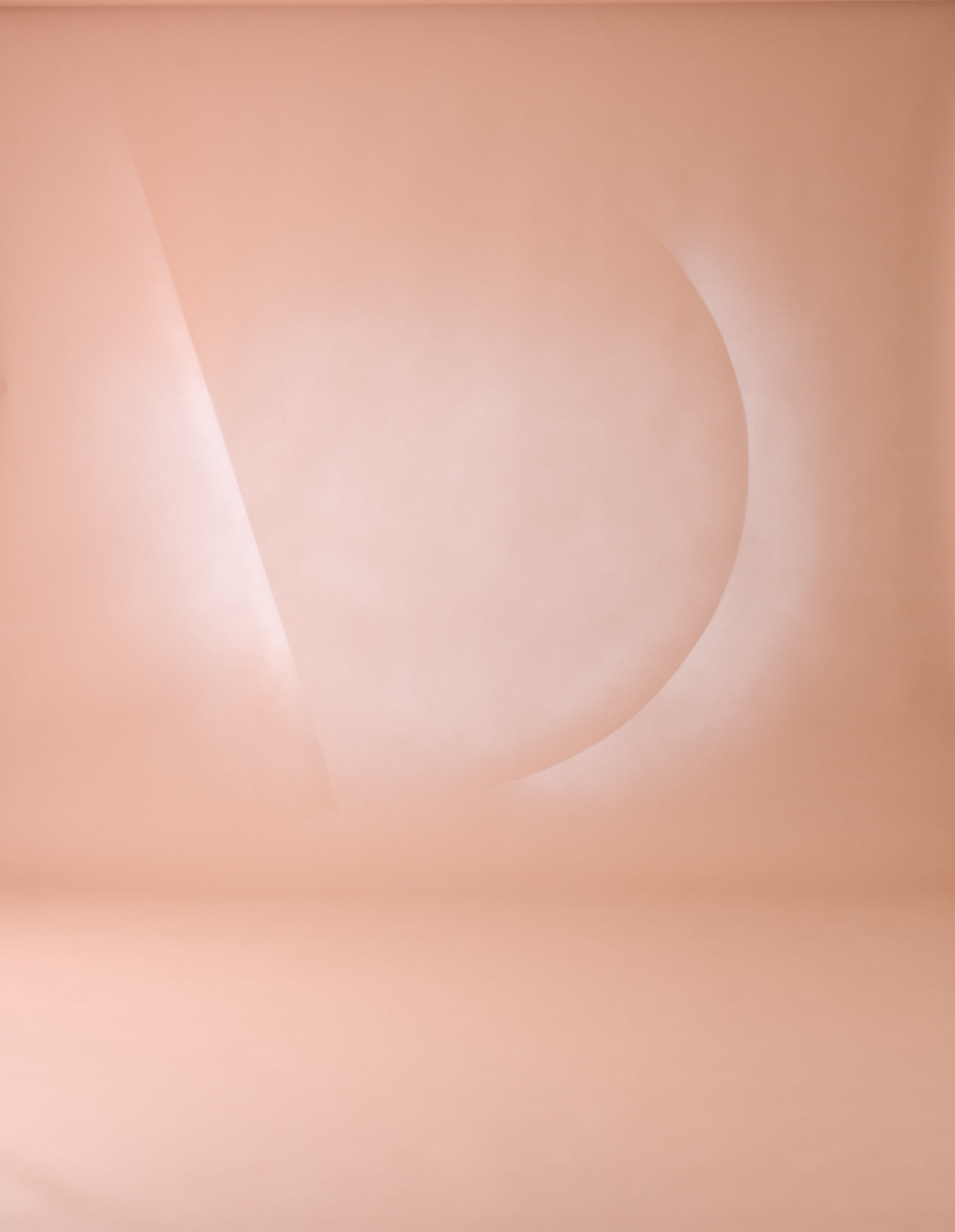 ペイント＃25　レンブラント