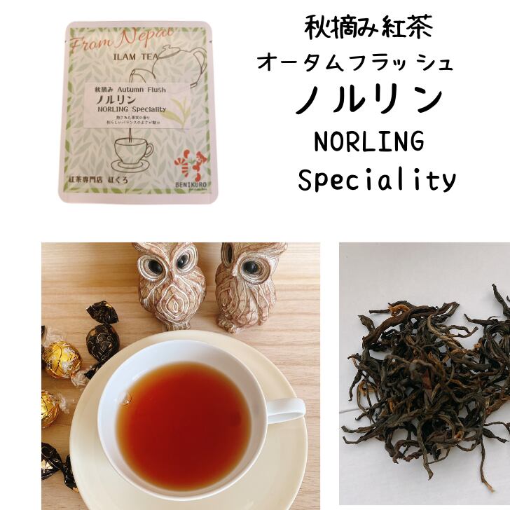ノルリン オータム　まろやかでフルーティー