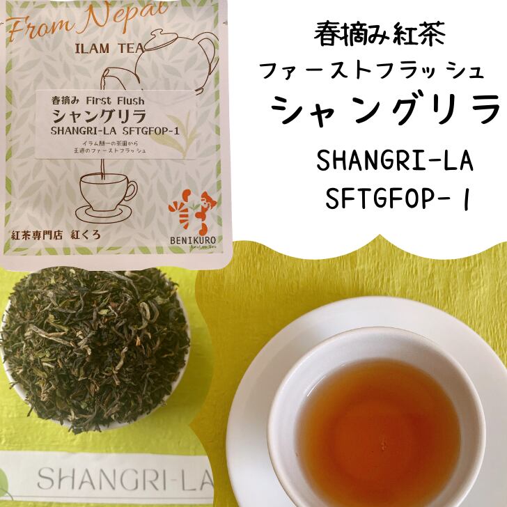シャングリラ  ファーストフラッシュ  イラム随一の茶園、シャングリラ。優しくおだやか。
