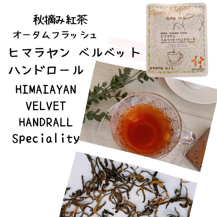 ヒマラヤン・ベルベット・ハンドロール オータム  フローラルなゴールデンチップ