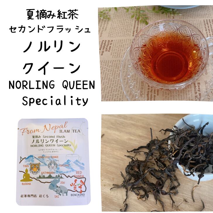 ノルリン・クイーン　セカンドフラッシュ   スイートアロマの美紅茶