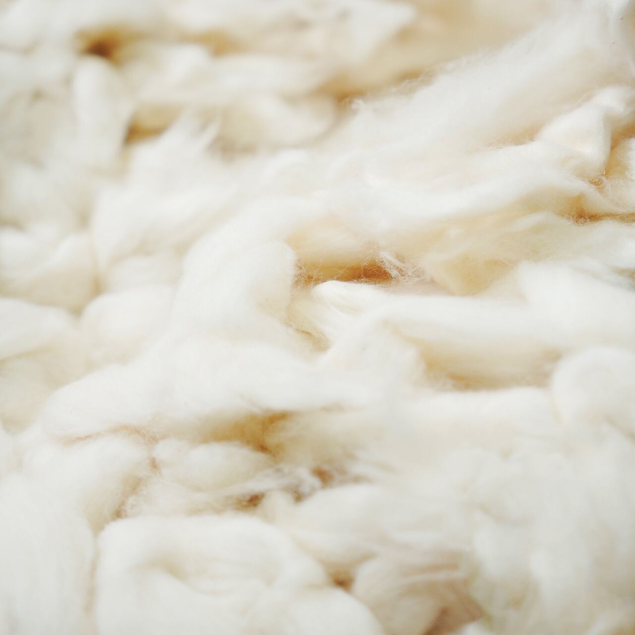 素材となるワタ（コットン）ふわふわでとっても気持ちが良いです