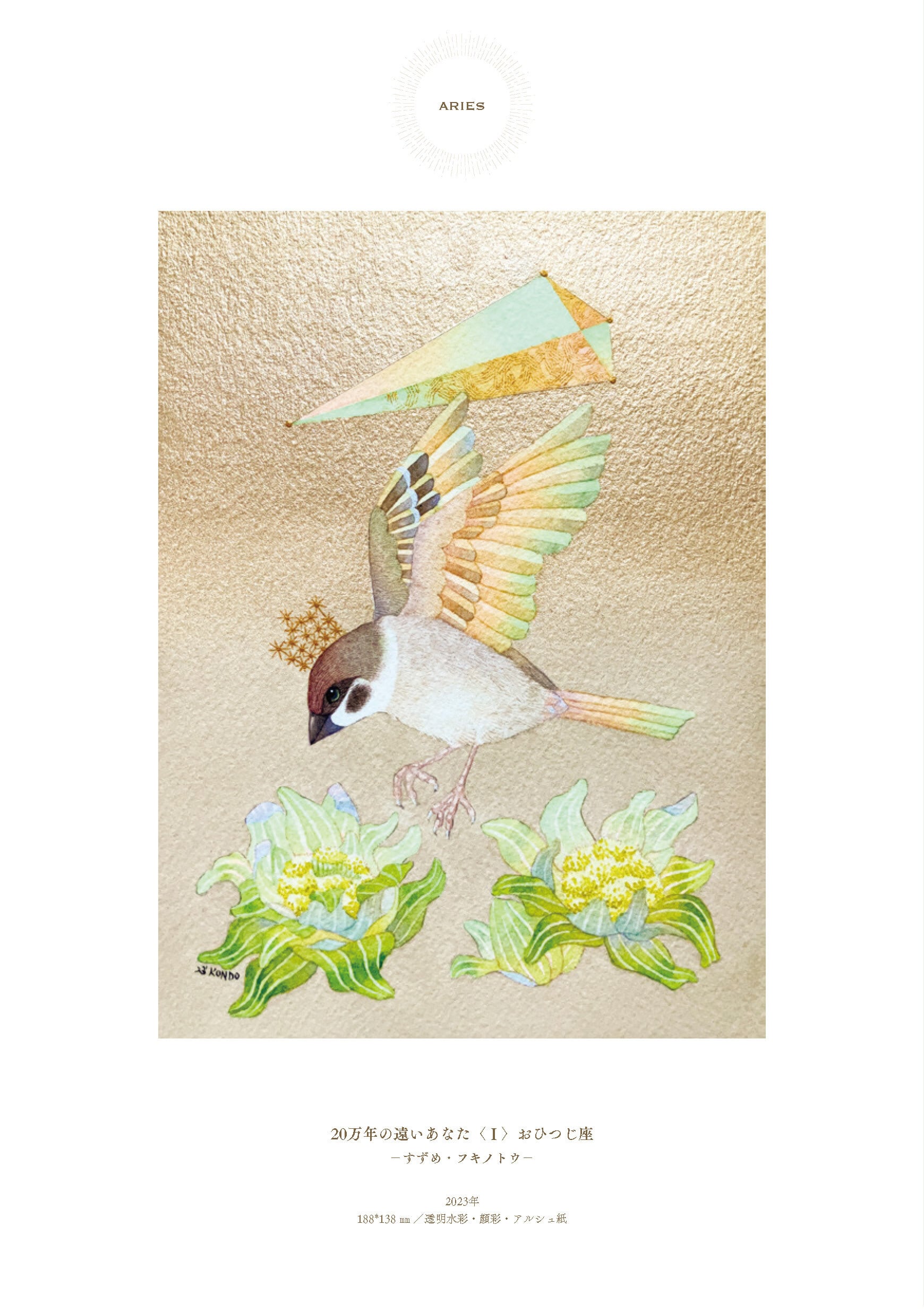 KONDO AKA COLLECTION OF WORKS ／ 近藤 朱 | Arquet