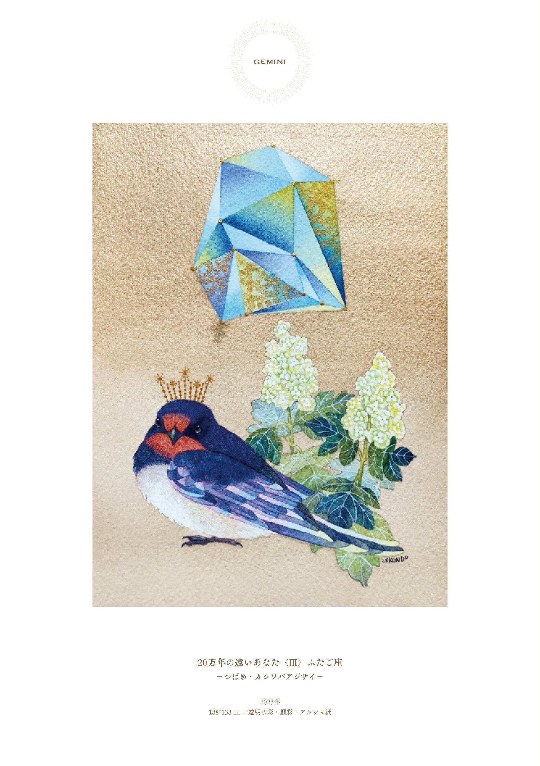 KONDO AKA COLLECTION OF WORKS ／ 近藤 朱 | Arquet