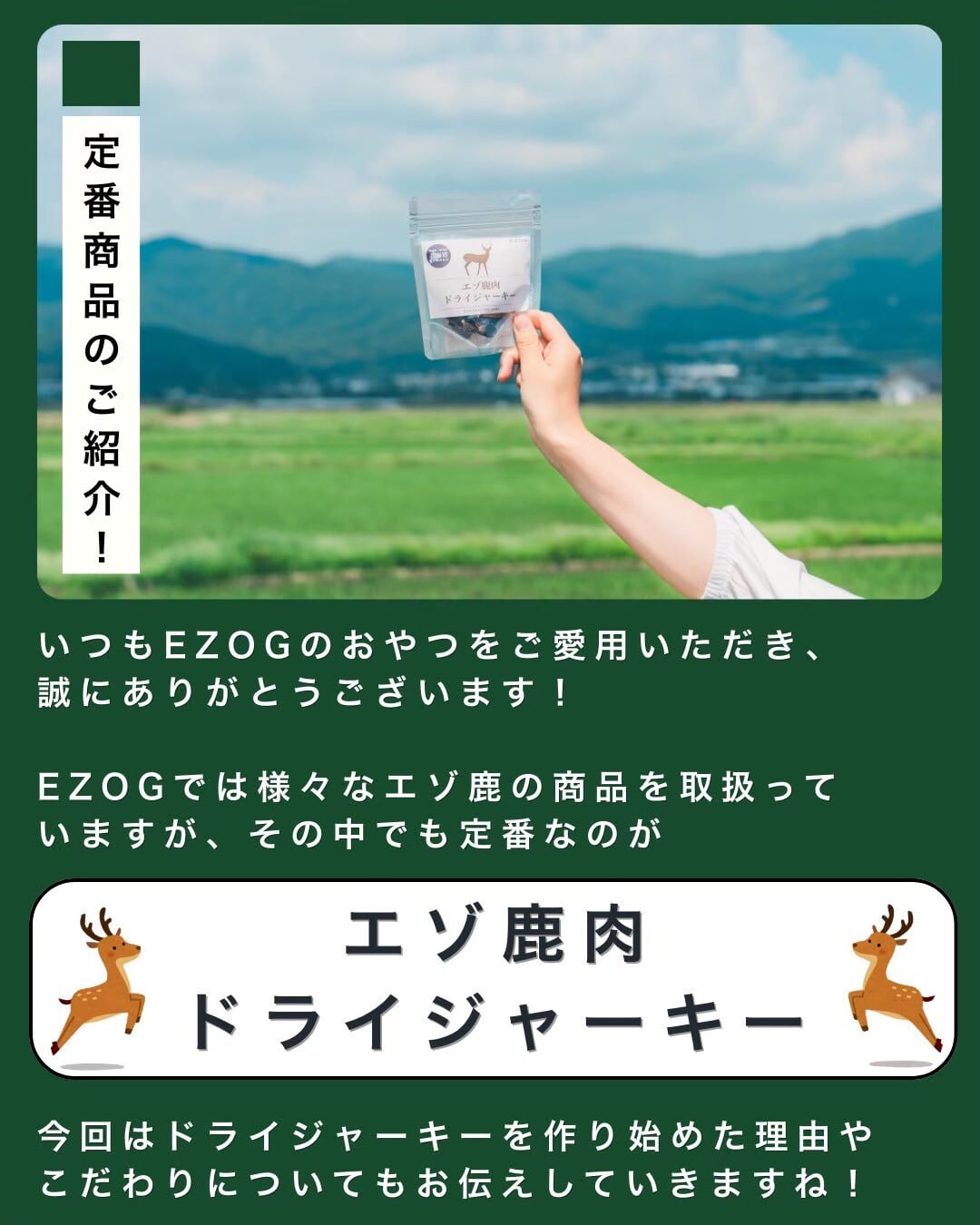 定番】エゾ鹿肉ドライジャーキー 50g（ペット用） | EZOG