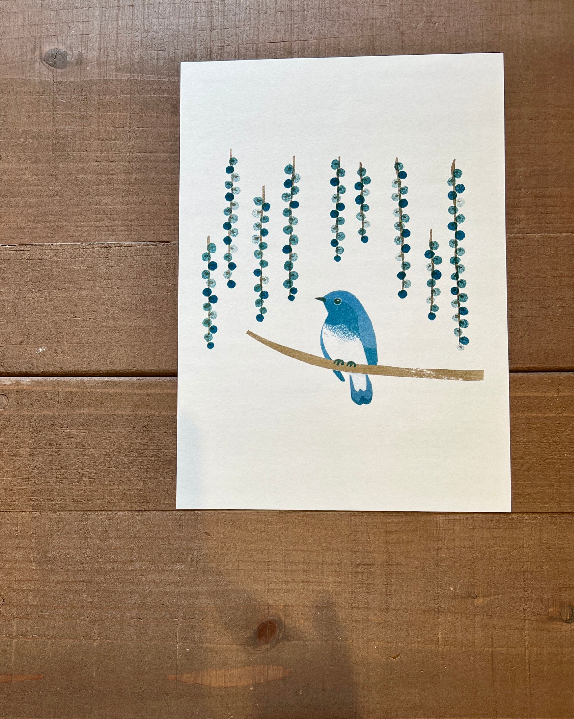 オオルリとサワグルミ