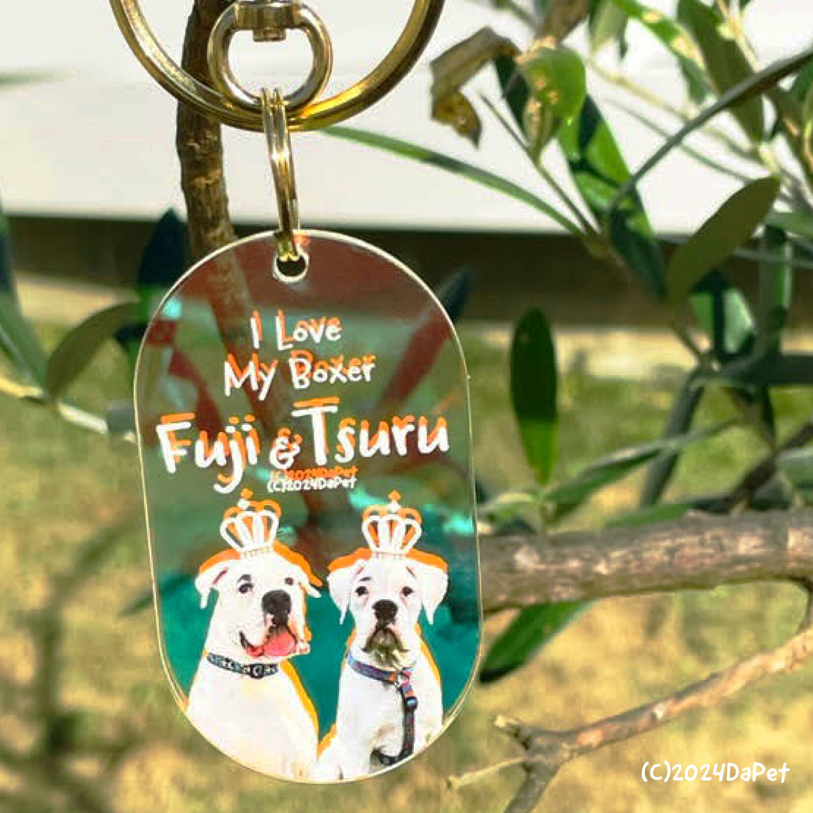 ボクサーのフジマロくん、ツルマロくん