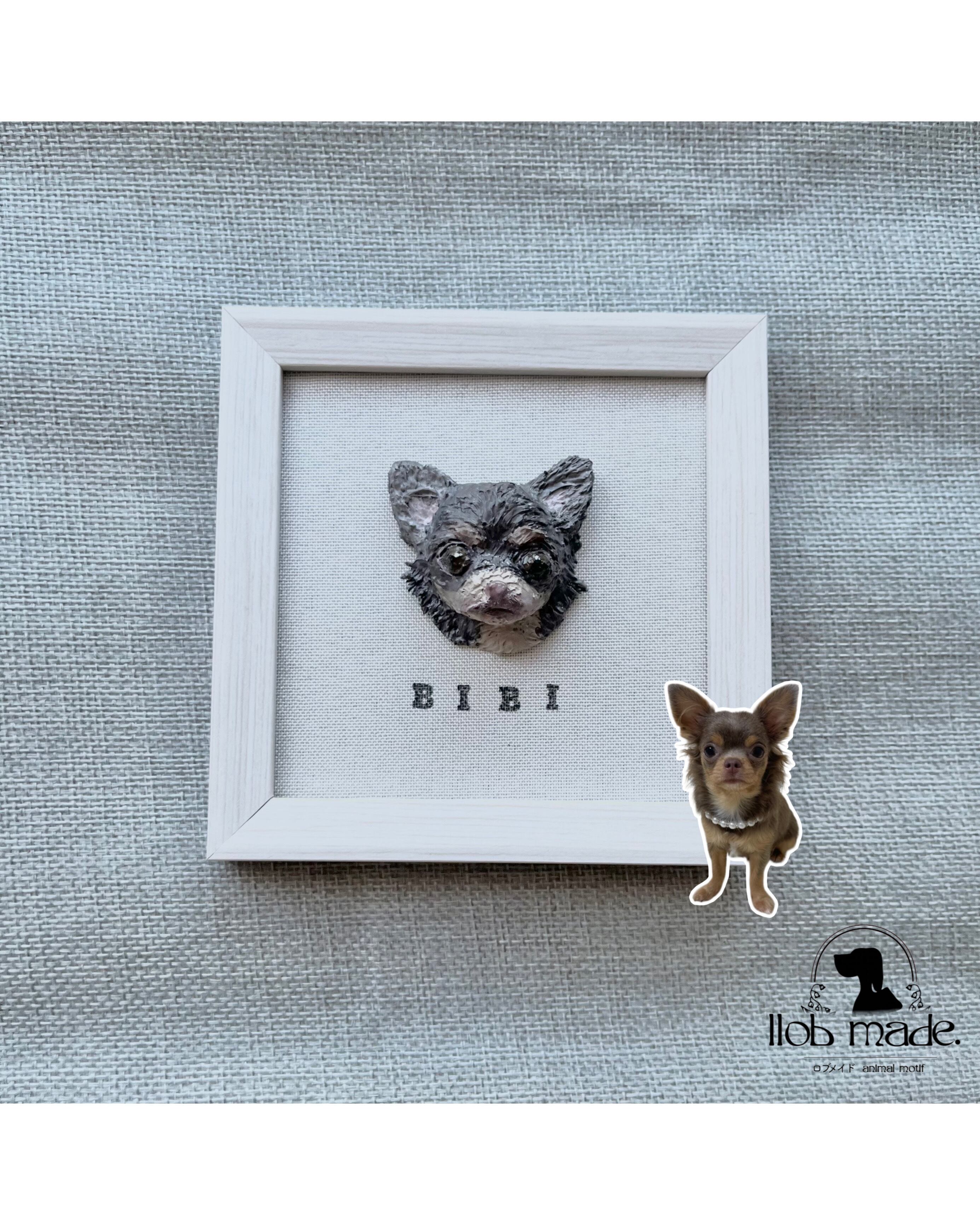 チワワちゃん🐾