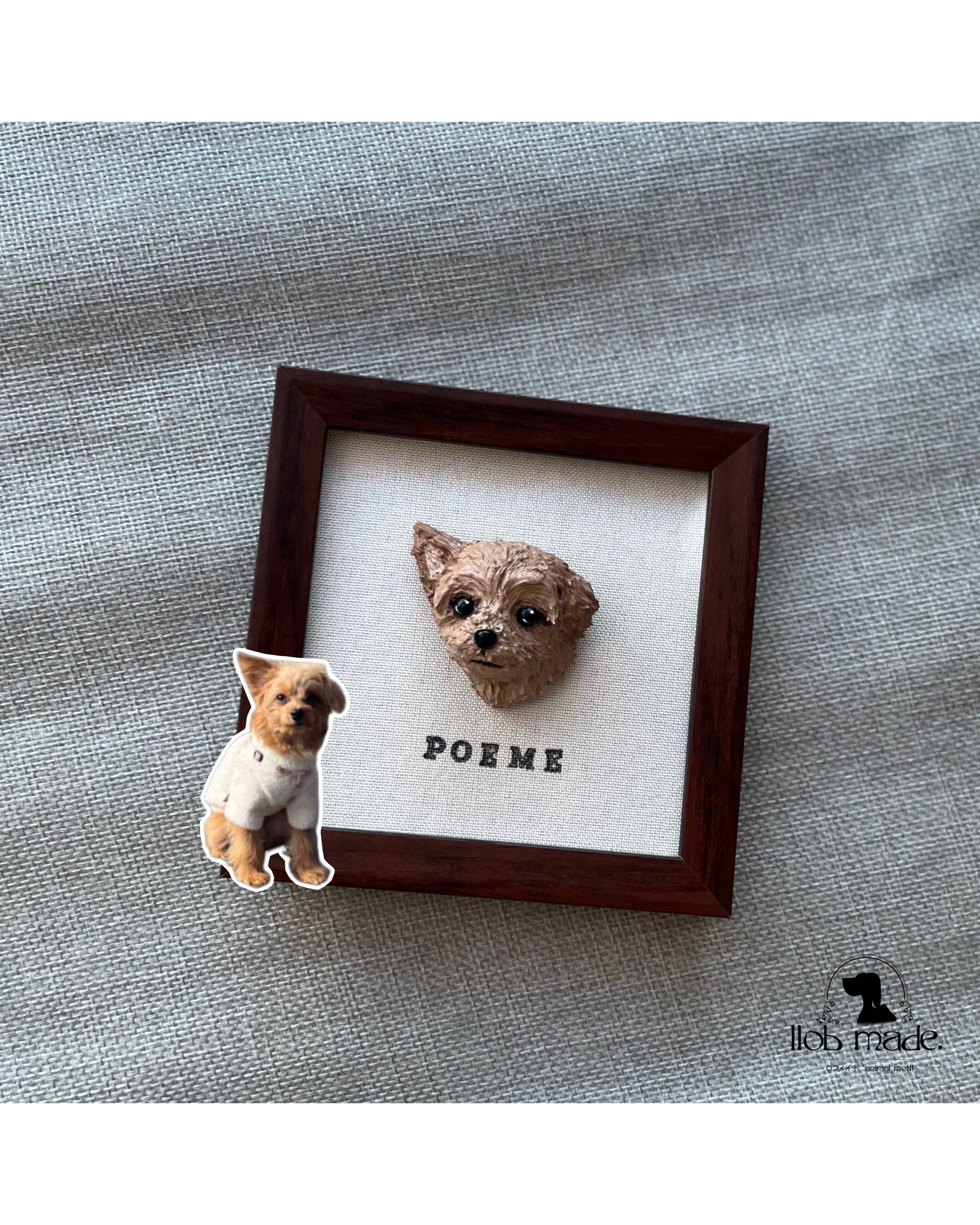 ポメプーちゃん🐾