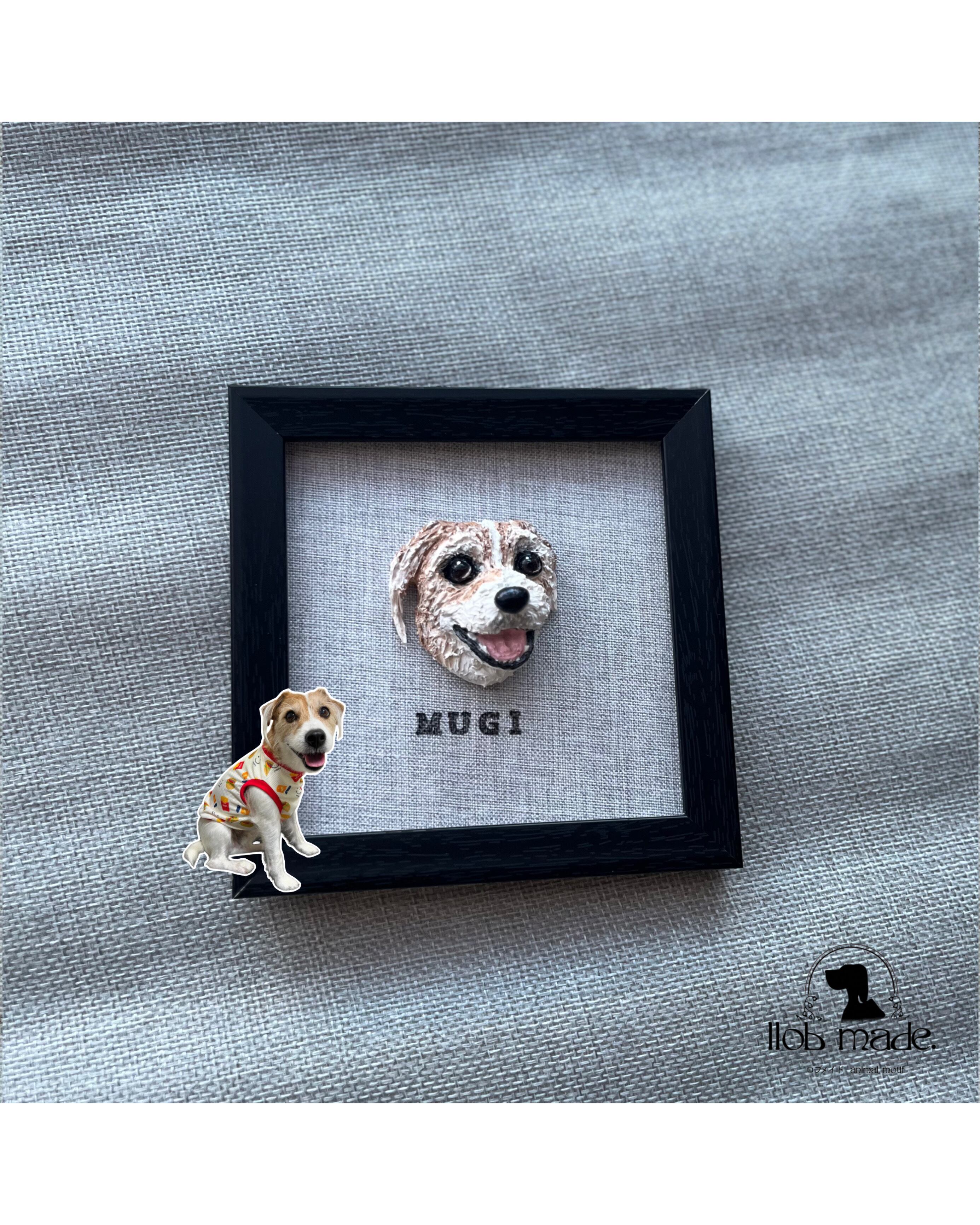 ジャックラッセルちゃん🐾